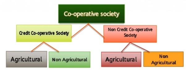 Image result for multi state cooperative society license